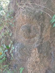 Un vieux rocher avec un trou dans le sol dans l'établissement Cabaña la Hamaca Grande un encuentro con la naturaleza, à El Zaino