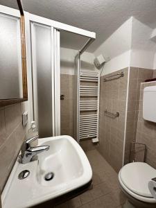 ボルミオにあるChalet Bormino 6のバスルーム(洗面台、トイレ付)