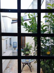 a view through a window of a courtyard at Rachel's House in Altamura