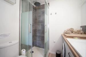 a bathroom with a shower and a toilet and a sink at L'appartement Lafayette in Annecy