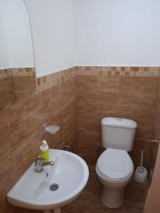 SMEŠTAJ SOLARIS kod Aqua Parka Studio Apartmani tesisinde bir banyo