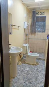 a bathroom with a toilet and a sink at COLIBRI VILLA City Center in Gisenyi