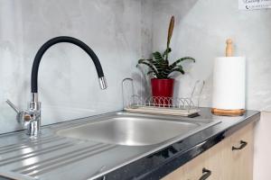 a kitchen sink with a faucet and a plant at Anastasia's Luxury House in Kavala