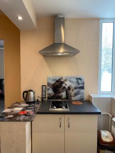 a kitchen with a stove with a picture of a tiger at Cat Garden Superior Apartments Riga in Rīga