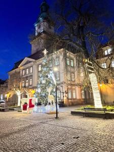a christmas tree in front of a building with a clock tower at Habibi Plac Ratuszowy in Jelenia Góra