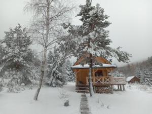 drewniany domek na śniegu z drzewami w obiekcie Markowa Chata w Cisnej