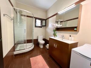 W łazience znajduje się prysznic, toaleta i umywalka. w obiekcie Boutique Stone House w mieście Psakoudia