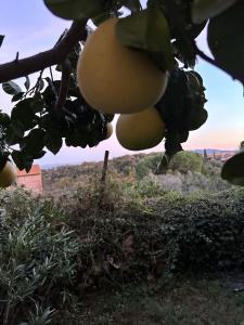 Fotografia z galérie ubytovania Casa antica Maremma Toscana v destinácii Ravi
