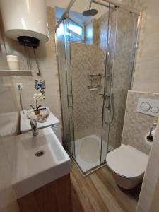 ein Bad mit einer Dusche, einem WC und einem Waschbecken in der Unterkunft Apartment Ela, Kostrena Rijeka in Kostrena