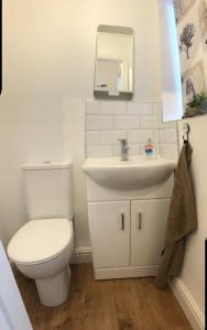 a bathroom with a toilet and a sink at Downtown Cottage Conwy in Conwy +13 photos