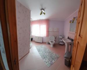 a bathroom with a toilet and a sink at Casa Caldura Rodica in Buşteni