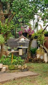 a garden with a bird house and some plants at Recanto dos pássaros in Garibaldi