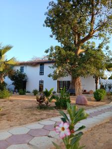 uma vista para a casa a partir do jardim em La Fandenoise em Thiès