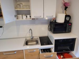 a small kitchen with a sink and a microwave at APARTMANI Emerald Dream in Novi Sad