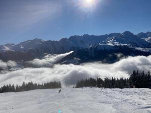 Paesaggio naturale nelle vicinanze dell'affittacamere