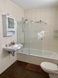 a bathroom with a shower and a sink and a toilet at Ferienwohnung Kilz in Gensingen an der Nahe in Gensingen
