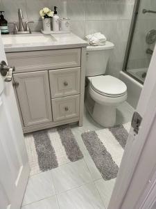 a bathroom with a toilet and a sink and a shower at Mountain Creek Condo, Chic, comfy Vernon NJ in Vernon Township