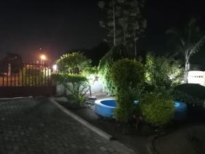a garden at night with a blue tub at GLORIA'S GUESTS.COM in Polokwane
