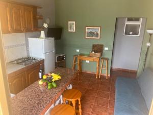 cocina con encimera y nevera en Casa Verde, en Vallehermoso