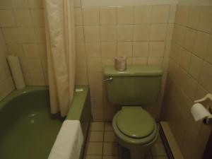 a bathroom with a green toilet and a bath tub at Hôtel-Motel Le Pharillon in Cap-des-Rosiers +16 photos