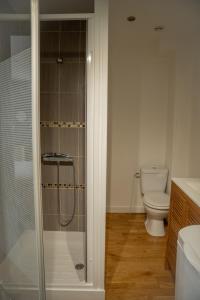 La salle de bains est pourvue de toilettes et d'une douche en verre. dans l'établissement Nid douillet T2 wifi centre historique 3 étoiles, à La Rochelle