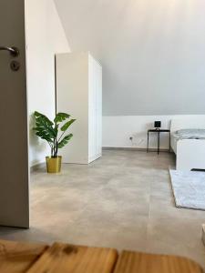 een witte kamer met een potplant en een spiegel bij Maisonette Wohnung Frechen City in Frechen