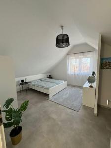 een witte kamer met een bed en een potplant bij Maisonette Wohnung Frechen City in Frechen