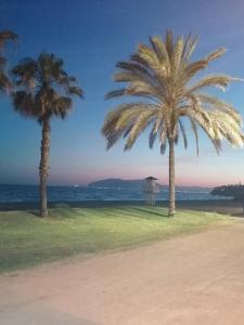two palm trees on the beach near the ocean at Appartement avec vue sur baie de Malaga in Torre de Benagalbón