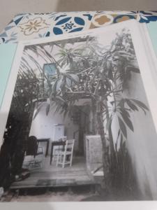 uma foto a preto e branco de uma casa com uma árvore em Suítes de Aluguel em Jericoacoara