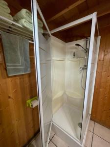 a shower with a glass door in a bathroom at Gites Les Rainettes in Vienne-en-Bessin