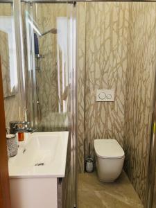 a bathroom with a sink and a toilet and a shower at Cucù home in Pisa