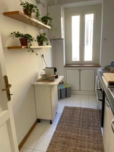 ローマにあるVolupta's House Janiculum Hillのキッチン(植物の置かれたカウンター付)