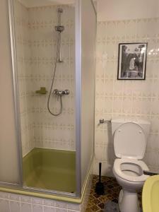 La salle de bains est pourvue d'une douche et de toilettes. dans l'établissement Ferienwohnung Panorama Schwarzwald, à Herrischried