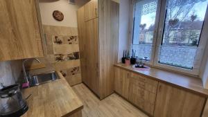 eine Küche mit Holzschränken und Spüle und einem Fenster in der Unterkunft Apartament Twoja Chwila II in Stronie Śląskie