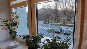une fenêtre avec vue sur une rue avec des voitures dans l'établissement Apartament Twoja Chwila II, à Stronie Śląskie