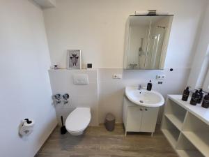 a white bathroom with a toilet and a sink at Zum Edelhof 24 in Homberg an der Ohm
