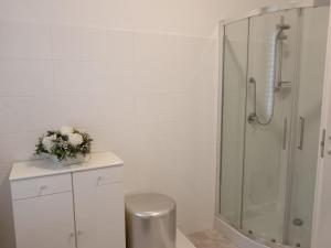 y baño blanco con ducha y aseo. en Parco delle Rose, en Sulmona