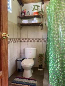 a bathroom with a toilet and a green shower curtain at Cabaña del viajero. in Ollantaytambo