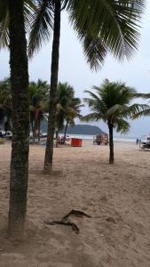 un groupe de palmiers sur une plage de sable dans l'établissement kit próximo da praia, à Praia Grande