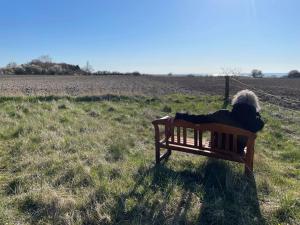 Galeriebild der Unterkunft Havlykkegaard - en unik gammel dame ved Østersøen in Idestrup