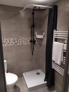 a bathroom with a toilet and a shower at charmant gite 25m² indépendant in Alès
