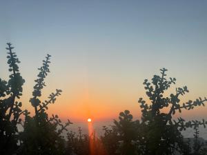 ein Sonnenuntergang über einem Feld mit einer Pflanze in der Unterkunft Casa Bella Vista frente al mar y piscina natural. in Charco del Palo