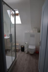 a bathroom with a toilet and a glass door at Logement au centre du Conquet in Le Conquet