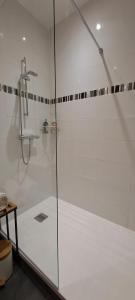 una ducha con puerta de cristal en un baño en Les arcades Studio Coeur de ville, en Cholet 8 fotos más