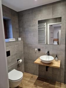 uma casa de banho com um lavatório, um WC e um espelho. em Noclegi u Alicji- Apartamenty em Gołuchów