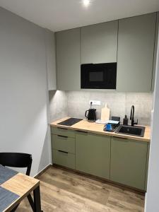 Kuchyň nebo kuchyňský kout v ubytování Noclegi u Alicji- Apartamenty + 15 fotografií