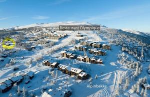 uma vista aérea de um resort na neve em Norefjell Chalet em Surteberg