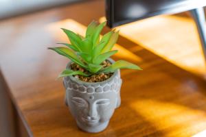a plant in a vase sitting on a table at Sabina Ferienhaus in Trebbin