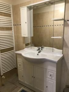 La salle de bains est pourvue d'un lavabo blanc et d'un miroir. dans l'établissement Le Serre, à Millau