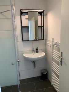 a bathroom with a sink and a mirror at Gatterhalle Zimmervermietung in Fürstenberg